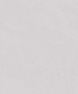 pjj126107a