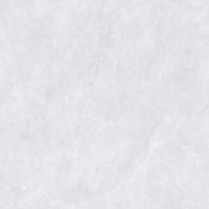 pjl808c06a altes